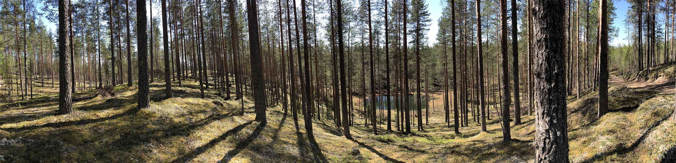 WOC 2025